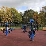 В новгородском парке «30 лет Октября» появится спортплощадка для сдачи норм ГТО