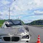 В Новгородском районе автомобиль BMW врезался в лося
