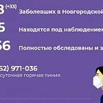 В Новгородской области за сутки случаи коронавируса зарегистрировали в 13 муниципалитетах из 22-х