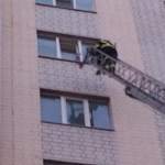 В Великом Новгороде сотрудники МЧС спасли котенка, застрявшего в окне на восьмом этаже