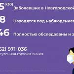 В Новгородской области больше всего новых случаев коронавируса за сутки зарегистрировали на территории Боровичского района