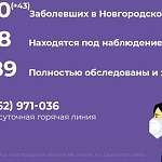 В Новгородской области новые случаи коронавируса зарегистрировали в 13 муниципалитетах из 22-х