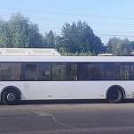 В Великом Новгороде спасение утят дорого обошлось пожилой пассажирке автобуса