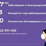 В Новгородской области за сутки не зарегистрировали новых случаев коронавируса только в четырех муниципалитетах 