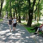 Сергей Бусурин пригласил новгородцев принять участие в конкурсе на должность директора городских парков