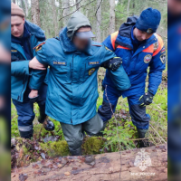 86-летний житель Новгородского района больше суток провёл в лесу