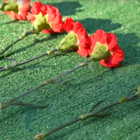 Александр Дронов и Валентина Матвиенко возложили цветы к «Вечному огню славы» Александр Дронов и Валентина Матвиенко возложили цветы к «Вечному огню славы»
