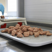 Батецкий сельхозкооператив «БИФ» запустил новый цех по переработке мяса