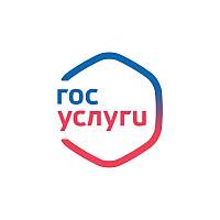 Более 2 млн россиян воспользовались сервисом «Жизненная ситуация»