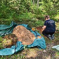 Экспедиция новгородского отделения РГО исследует 13 тонн почв