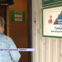 Елена Писарева проголосовала на выборах губернатора Новгородской области