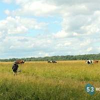 Фермерам Новгородской области рассказали, как получить грант «Агростартап»