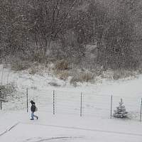 Фоторепортаж: в Великий Новгород пришёл снег
