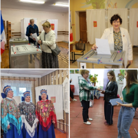 Сольцы, Демянск, Окуловка, Шимск: как проходят выборы главы региона в муниципалитетах
