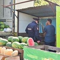 Мэрия Великого Новгорода продолжает борьбу с борщевиком и нелегальной торговлей