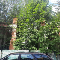 В Великом Новгороде разыскивают владельца входа в «Старый рынок»