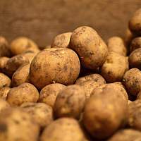 На Новгородчине подешевели «борщевой набор», сахар, макароны, телевизоры и авто На Новгородчине подешевели «борщевой набор», сахар, макароны, телевизоры и авто