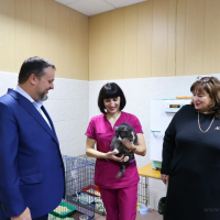 На оснащение ветеринарной службы Новгородской области направили 19 млн рублей