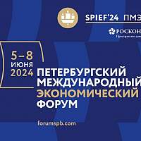 На ПМЭФ-2024 правительство Новгородской области планирует подписать более 20 соглашений