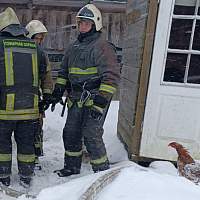 На пожаре в новгородском Сыркове спасли 15 кур. Три погибли