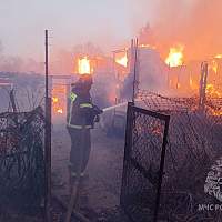 На пожаре в старорусской деревне Волковицы погиб человек