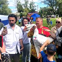 На волотовских «Гусиных бегах» победил гость с архангельским именем