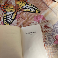 Набоков — не только «Лолита». Учёный НовГУ Владимир Шадурский о прозе и поэзии