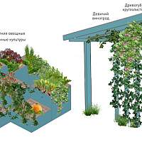 На одной из новгородских набережных предложили создать городской огород