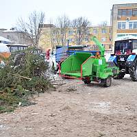 Новгородцам рассказали, как правильно утилизировать живые ёлки после праздников