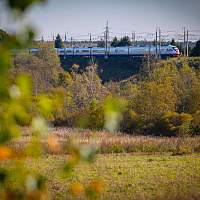 Новгородцы могут сделать поездки до Москвы и Санкт-Петербурга ещё выгоднее Новгородцы могут сделать поездки до Москвы и Санкт-Петербурга ещё выгоднее