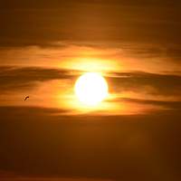 Новгородцы могут заметить на телеэкранах признаки интересного сезонного явления Новгородцы могут заметить на телеэкранах признаки интересного сезонного явления