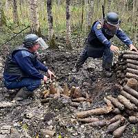 Новгородцы обнаружили крупную партию снарядов времён Великой Отечественной войны Новгородцы обнаружили крупную партию снарядов времён Великой Отечественной войны