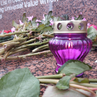 Новгородцы скорбят о жертвах и пострадавших теракта в «Крокус Сити Холле»