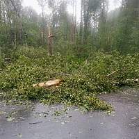 Новгородские дороги продолжают приводить в порядок после бури