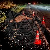 Новгородские Госавтоинспекторы зафиксировали выход на дороги лосей и медведей Новгородские Госавтоинспекторы зафиксировали выход на дороги лосей и медведей