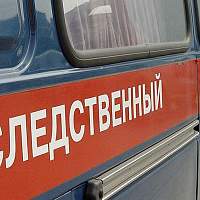 Новгородские следователи выясняют обстоятельства нападения стаффа на ребёнка