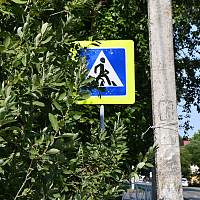 Новгородские водители могут поспособствовать улучшению видимости дорожных знаков