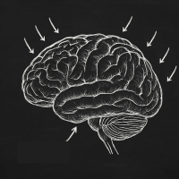 Новгородский врач-невролог рассказал об истинных названиях микроинсульта