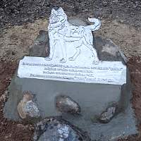 Памятник погибшей в бою в Старорусском районе собаке-санитару стал участником голосования