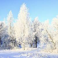 Погода для жителей Великого Новгорода, Боровичей и Старой Руссы с 1 по 7 января