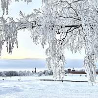 Погода для жителей Великого Новгорода, Боровичей и Старой Руссы с 12 по 18 февраля