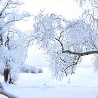 Погода для жителей Великого Новгорода, Боровичей и Старой Руссы с 15 по 21 января