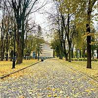 Погода для жителей Великого Новгорода, Боровичей и Старой Руссы с 20 по 26 октября