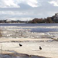 Погода для жителей Великого Новгорода, Боровичей и Старой Руссы с 25 по 31 марта