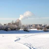 Погода для жителей Великого Новгорода, Боровичей и Старой Руссы с 29 января по 4 февраля