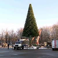 Погода внесла коррективы в демонтаж новогодней ёлки в Великом Новгороде