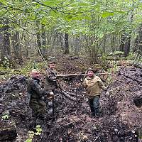 Поисковики обнаружили кабину упавшего в Поддорском районе самолёта Пе-2