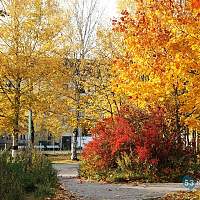 Россиянам сообщили неожиданную информацию о погоде на ближайшее время