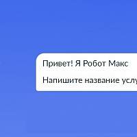 С регистрацией собак новгородцам поможет новый навык робота Макса