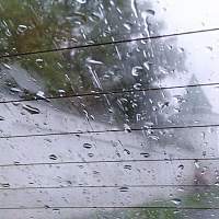 Сегодня жителей Новгородской области вновь ожидает непогода